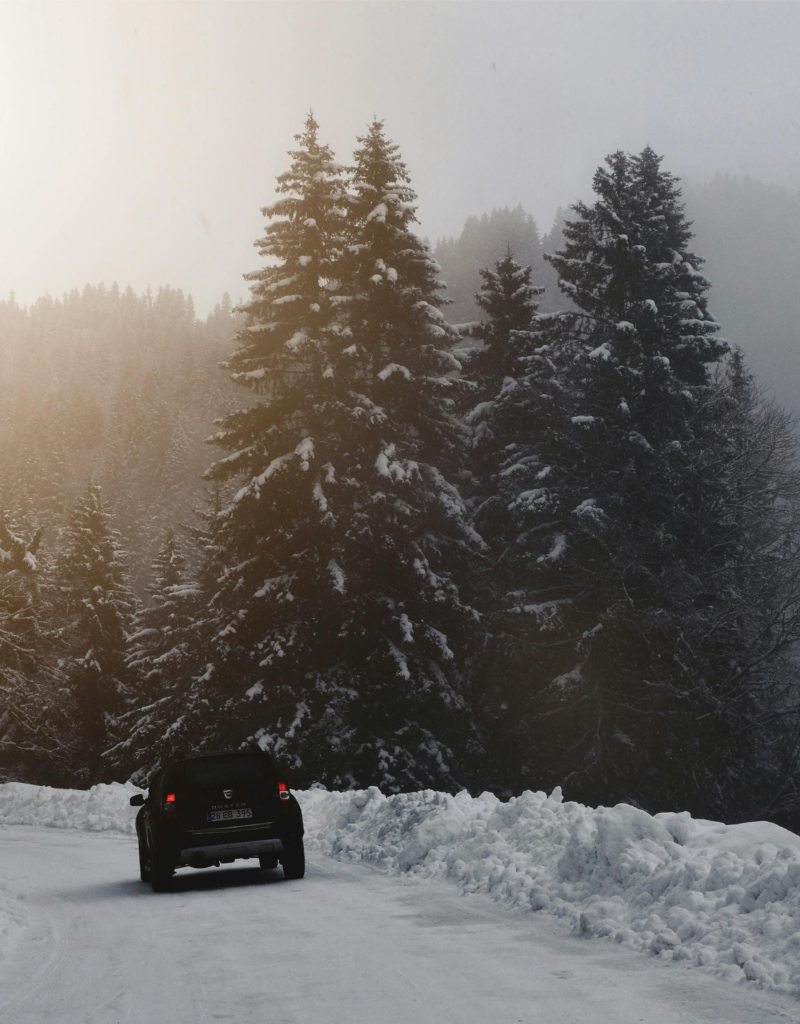 Limo Service In Levittown, NY